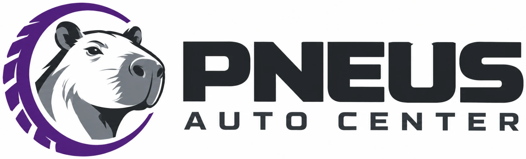 Auto Center Pneus